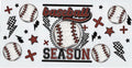 Baseball season