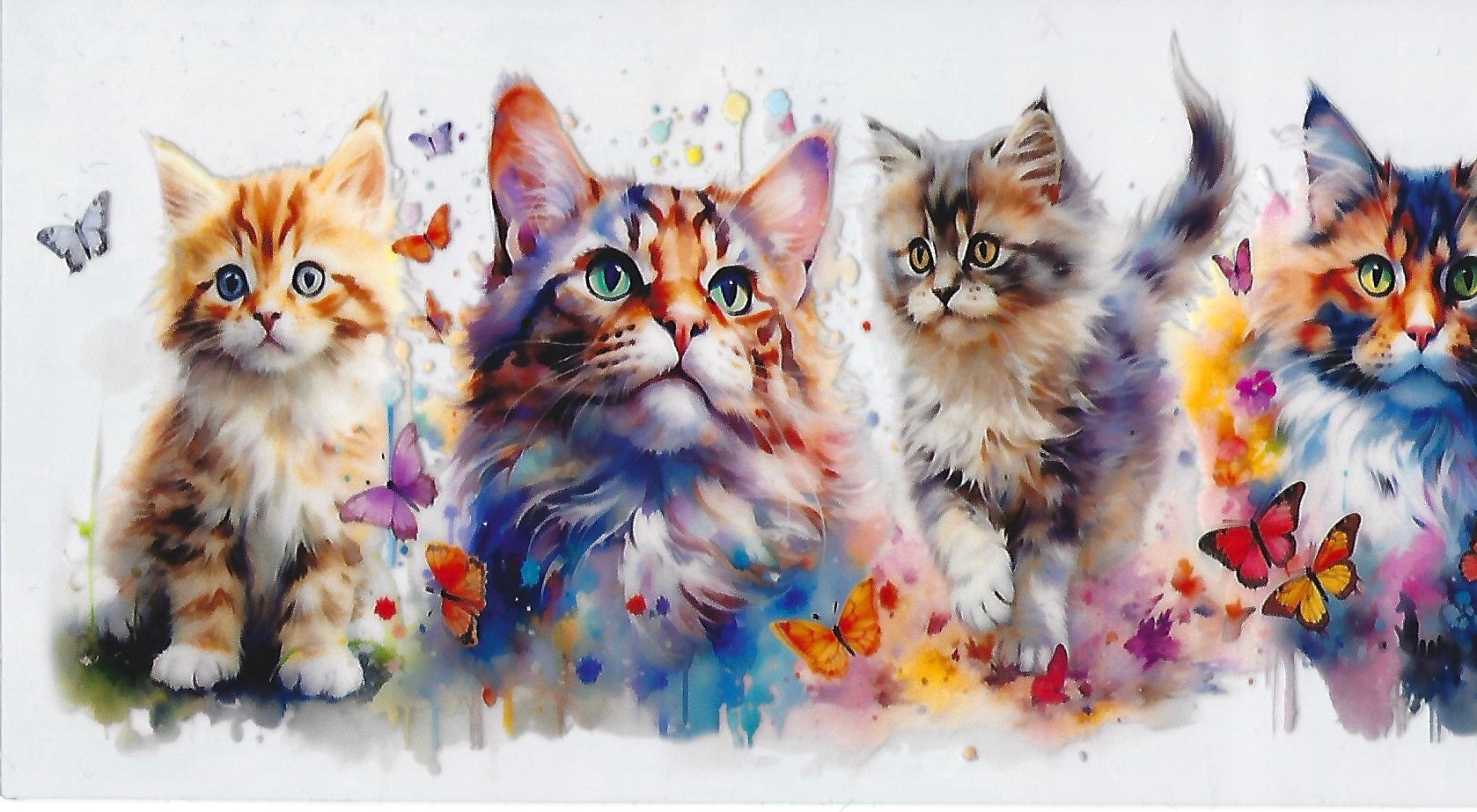 Cats